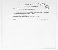 Image Associated With the Occurence